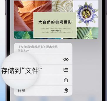 宁县apple维修中心分享iPhone文件应用中存储和找到下载文件