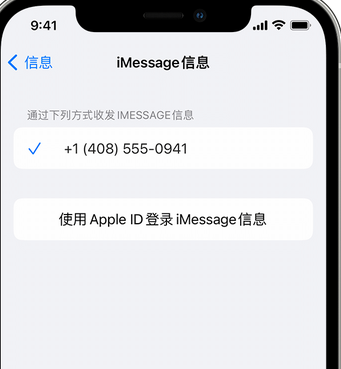 宁县apple维修iPhone上无法正常发送iMessage信息 