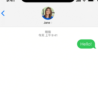 宁县apple维修iPhone上无法正常发送iMessage信息