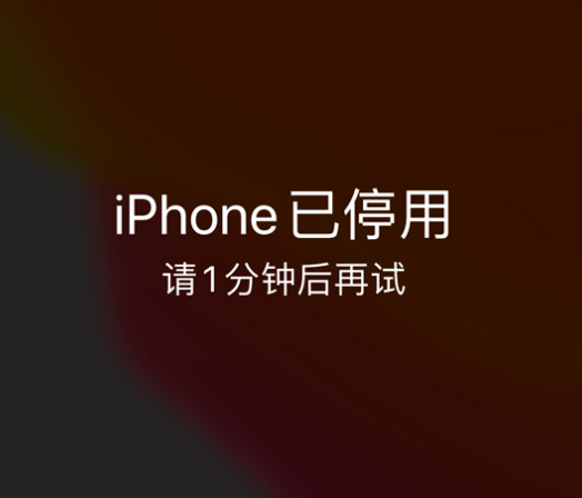 宁县苹果手机维修分享:iPhone 显示“不可用”或“已停用”怎么办？还能保留数据吗？ 