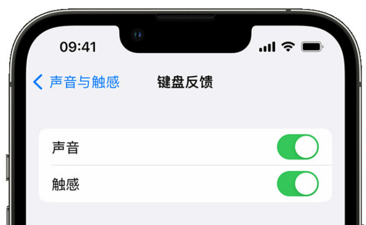 宁县苹果手机维修分享iPhone 14触感键盘使用方法 