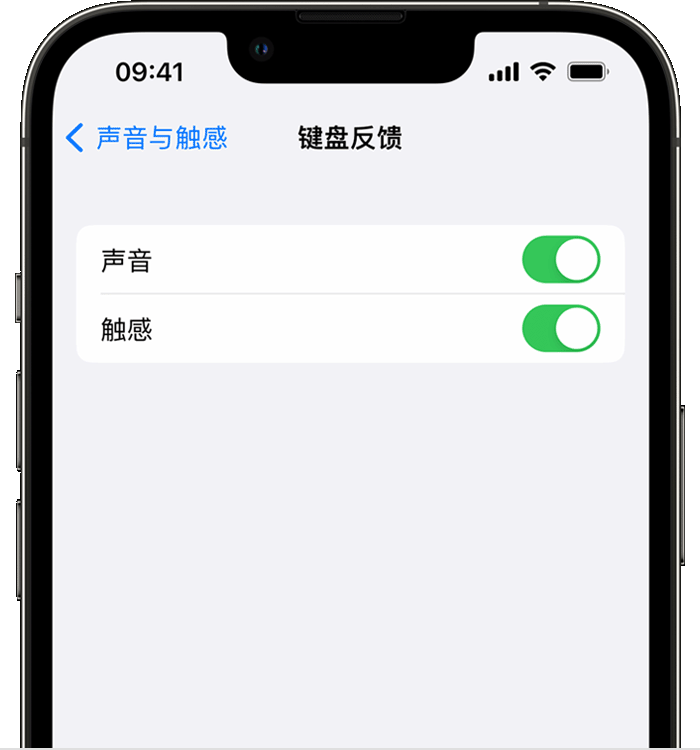 宁县苹果14维修店分享如何在 iPhone 14 机型中使用触感键盘 