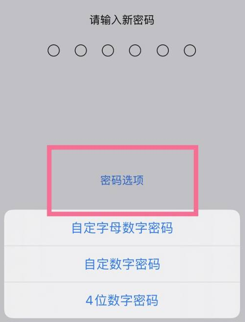 宁县苹果14维修分享iPhone 14plus设置密码的方法 