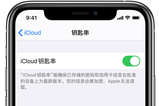 宁县苹果手机维修分享在 iPhone 上开启 iCloud 钥匙串之后会储存哪些信息 