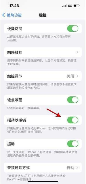 宁县苹果手机维修分享iPhone手机如何设置摇一摇删除文字 